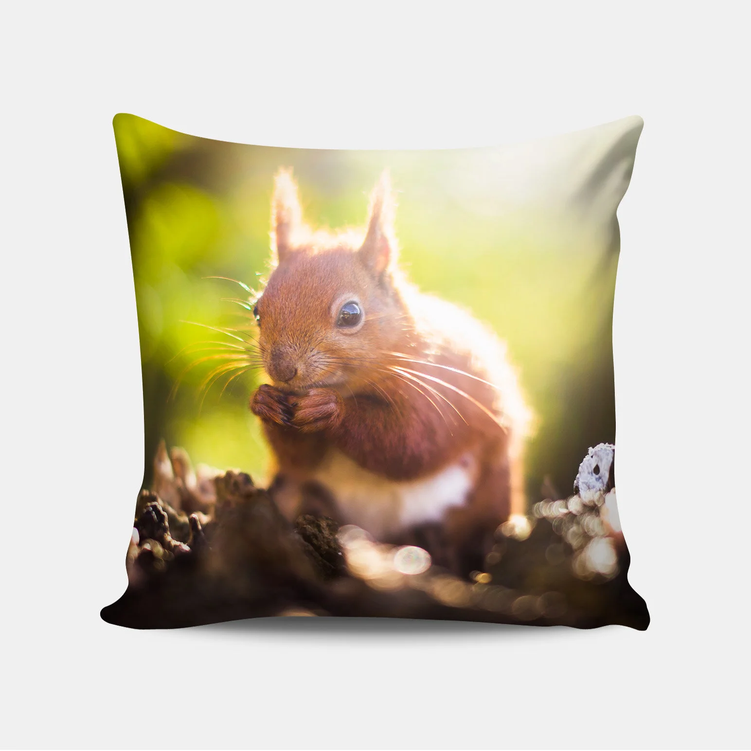 Squirrel-Cushion.jpg