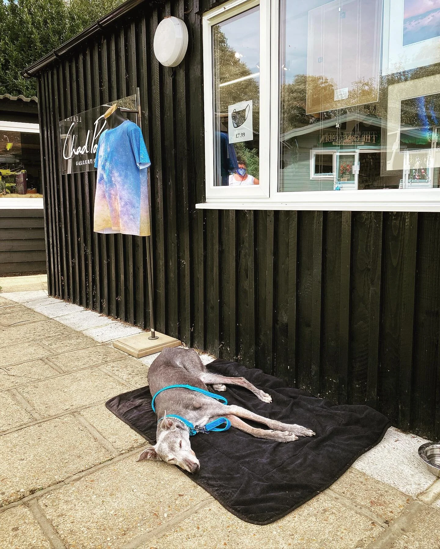 Old boy Charlie having a rest outside whilst his parents eye up their next print 🐶