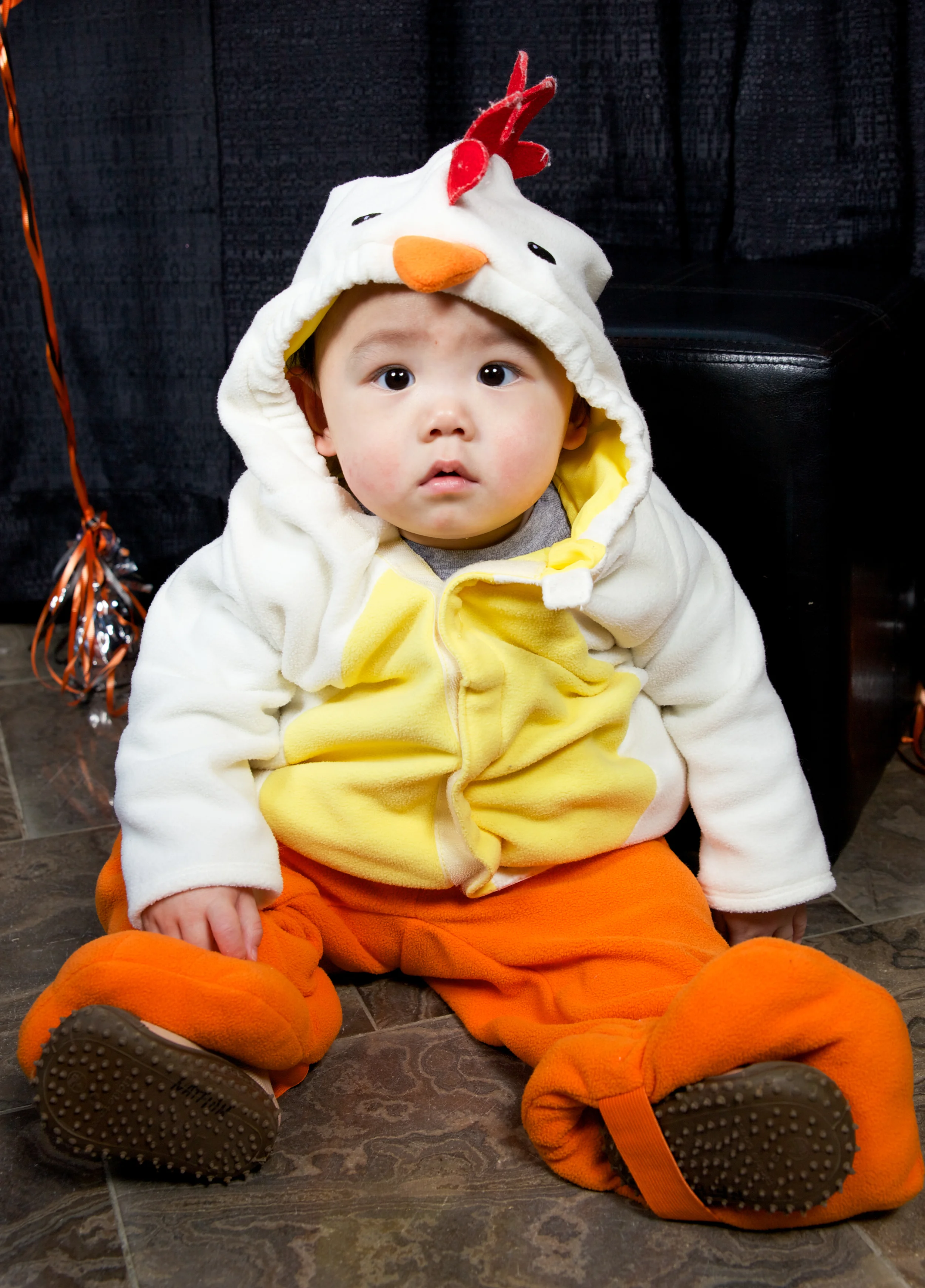 chicken (1 of 1).jpg