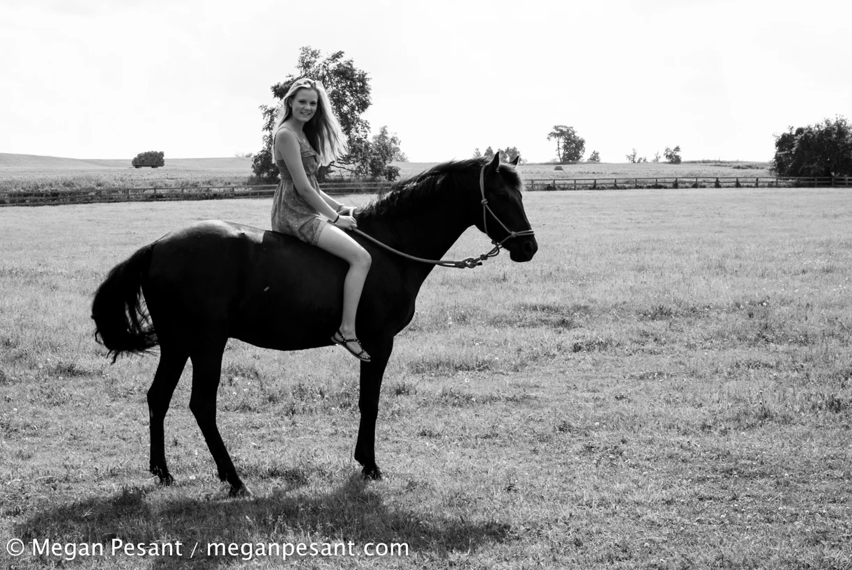 CassHorse-3.jpg
