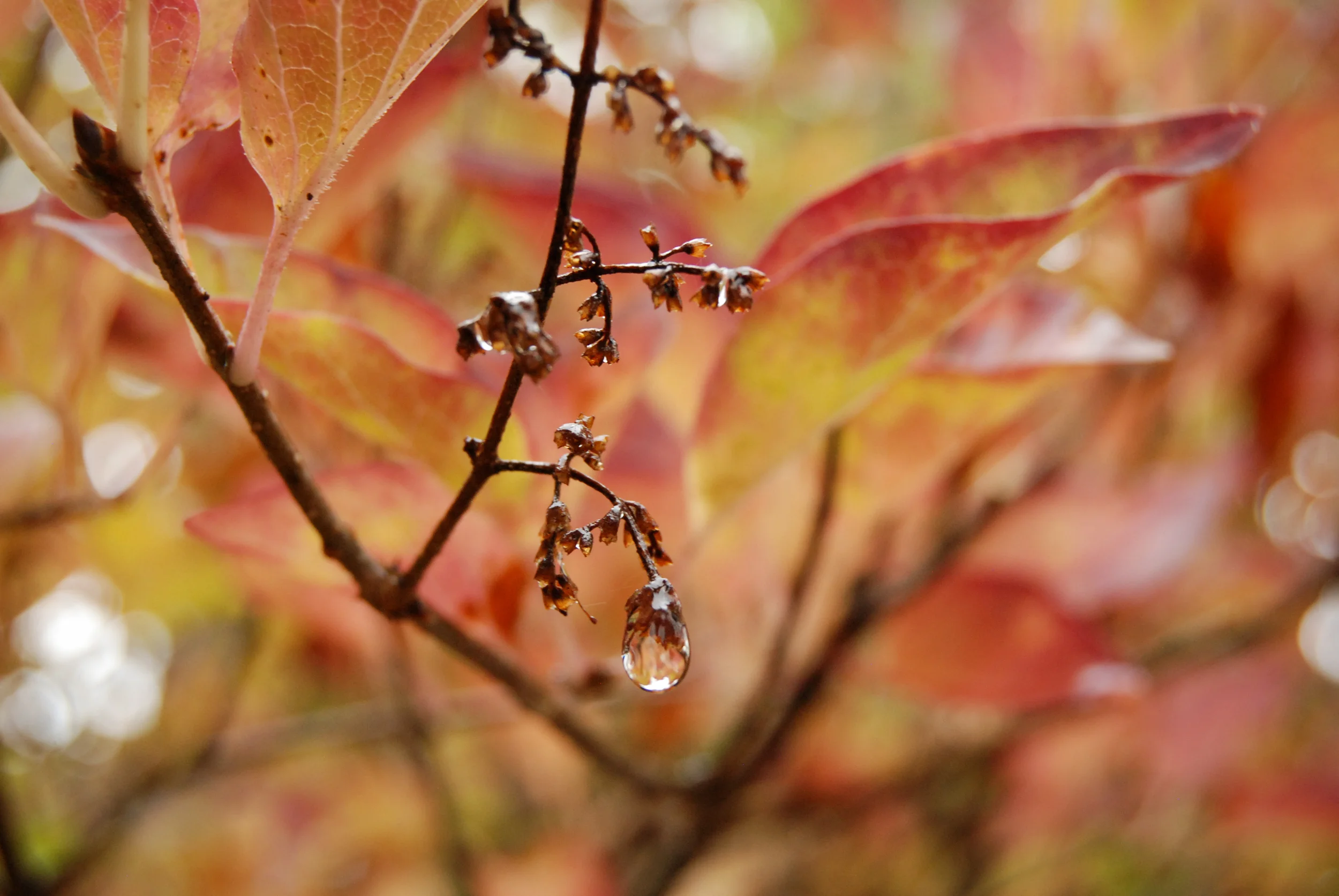 Portfolio-5.jpg