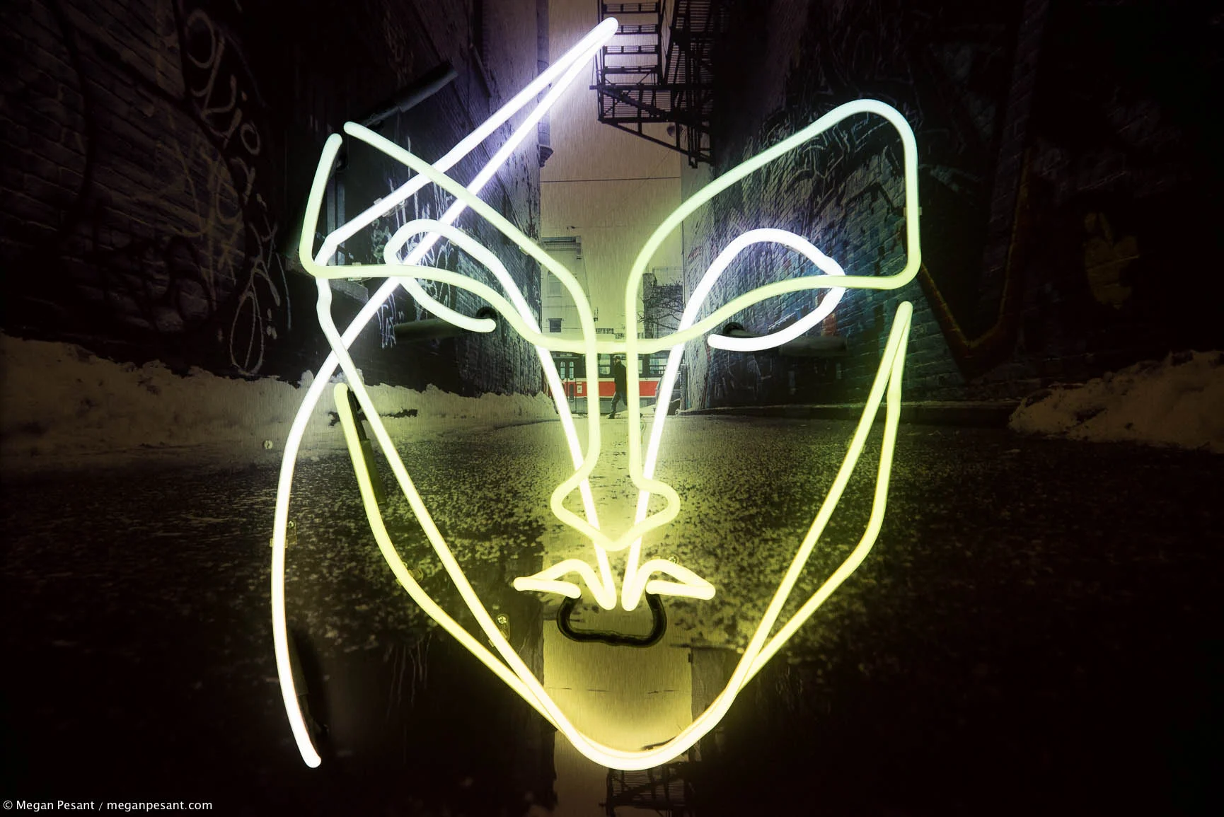 ANSER (Anser x SoTeeOh)