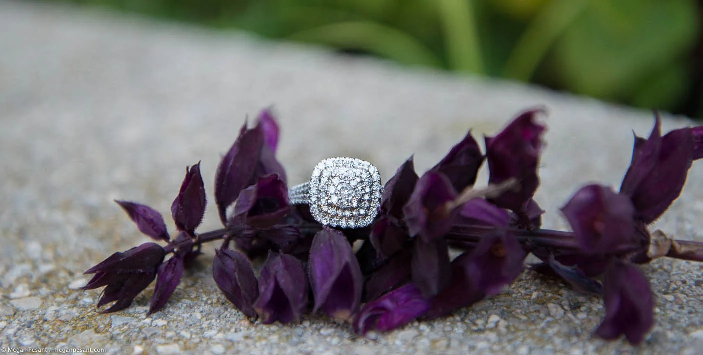 daniellemitchengagement11.jpg