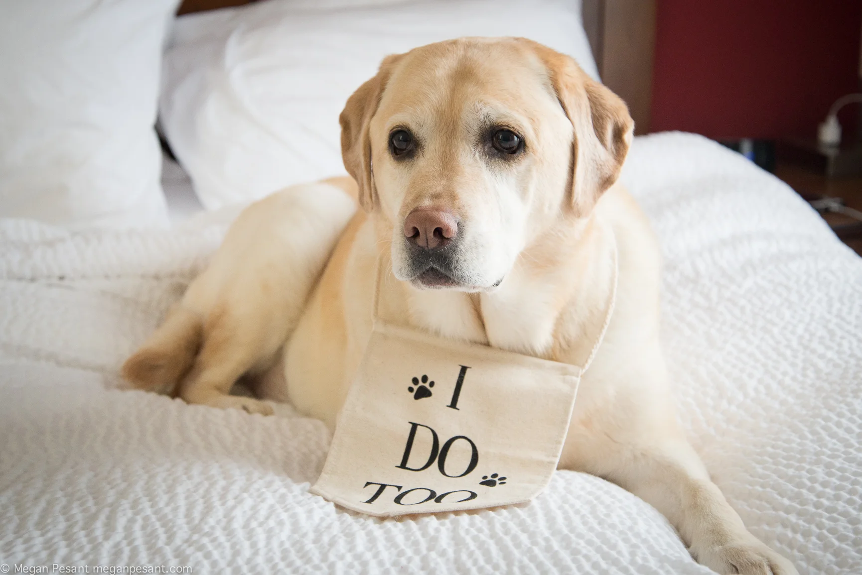 AnnandWedding1.jpg