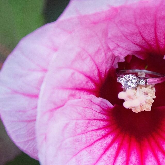 Happy Valentine&rsquo;s Day to all the lovers out there xx 💋 
#flower #ring #valentine #proposal #engagement #love #lovers