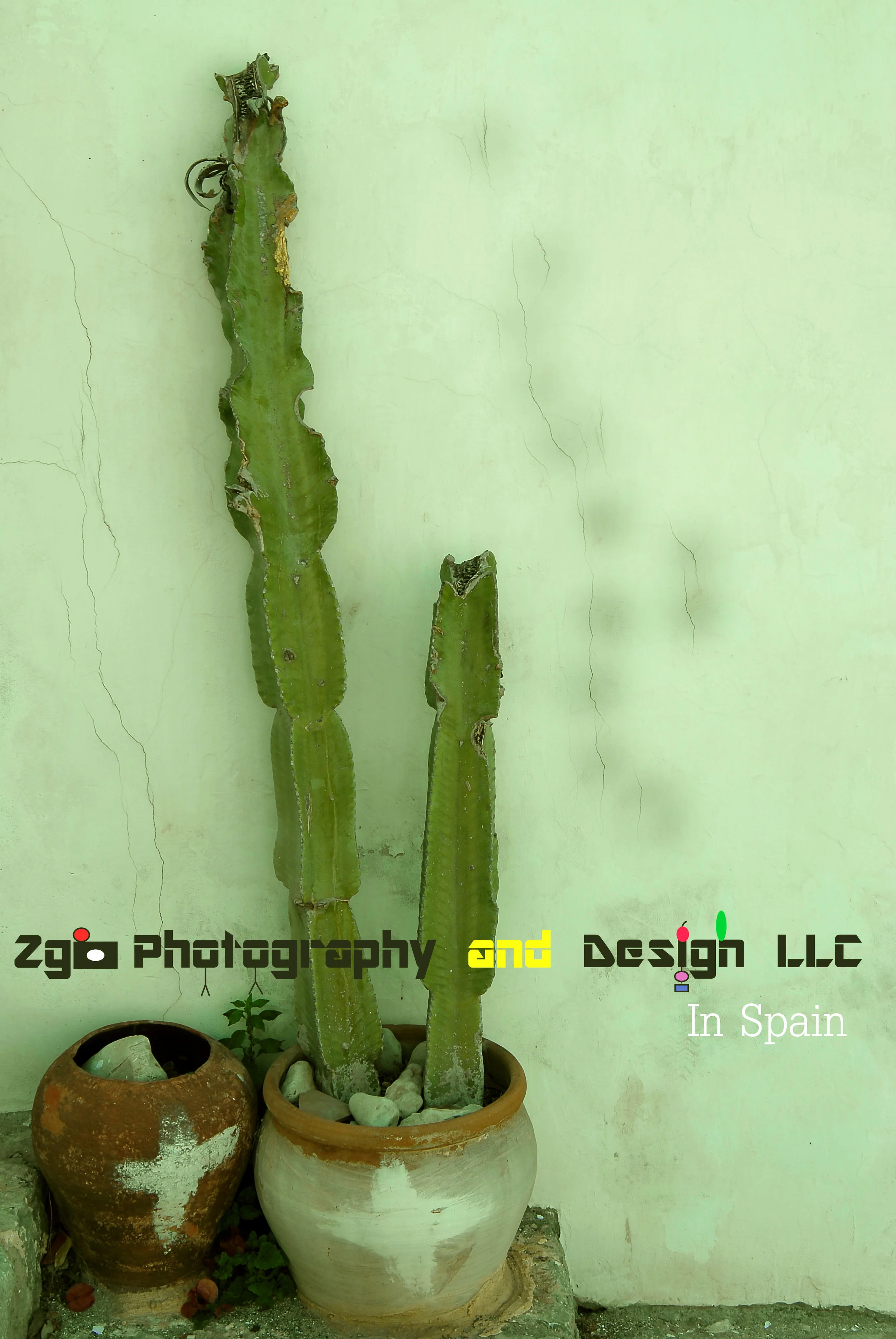 © 2008 - 2014 zgophotographyanddesign.com All Rights Reserved.