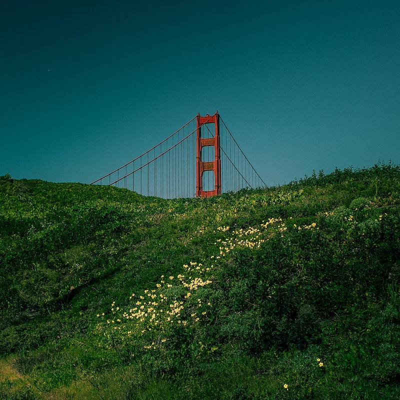 8495965747_c5d78fb07f_c.jpg