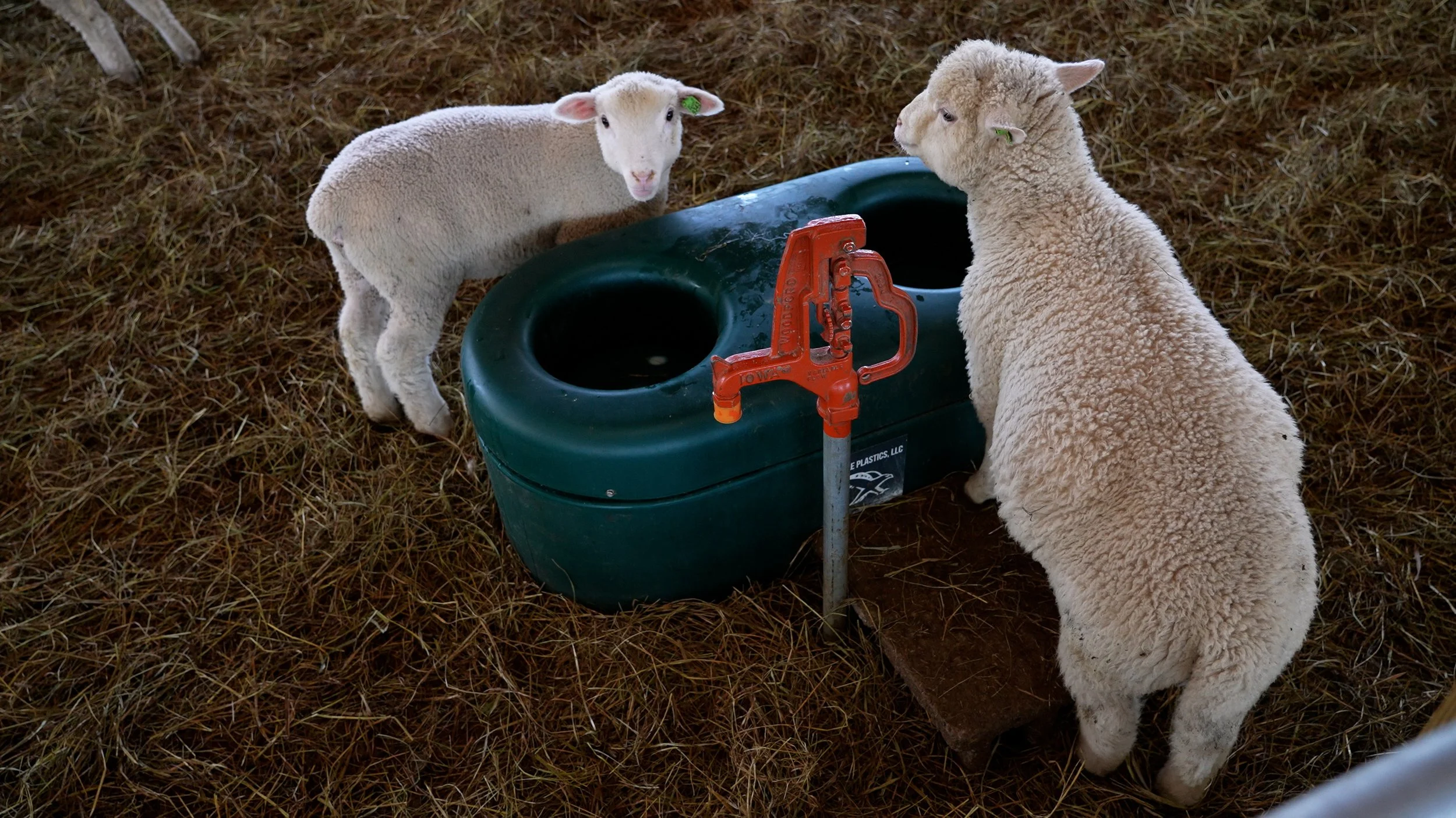 ACAP impact case study