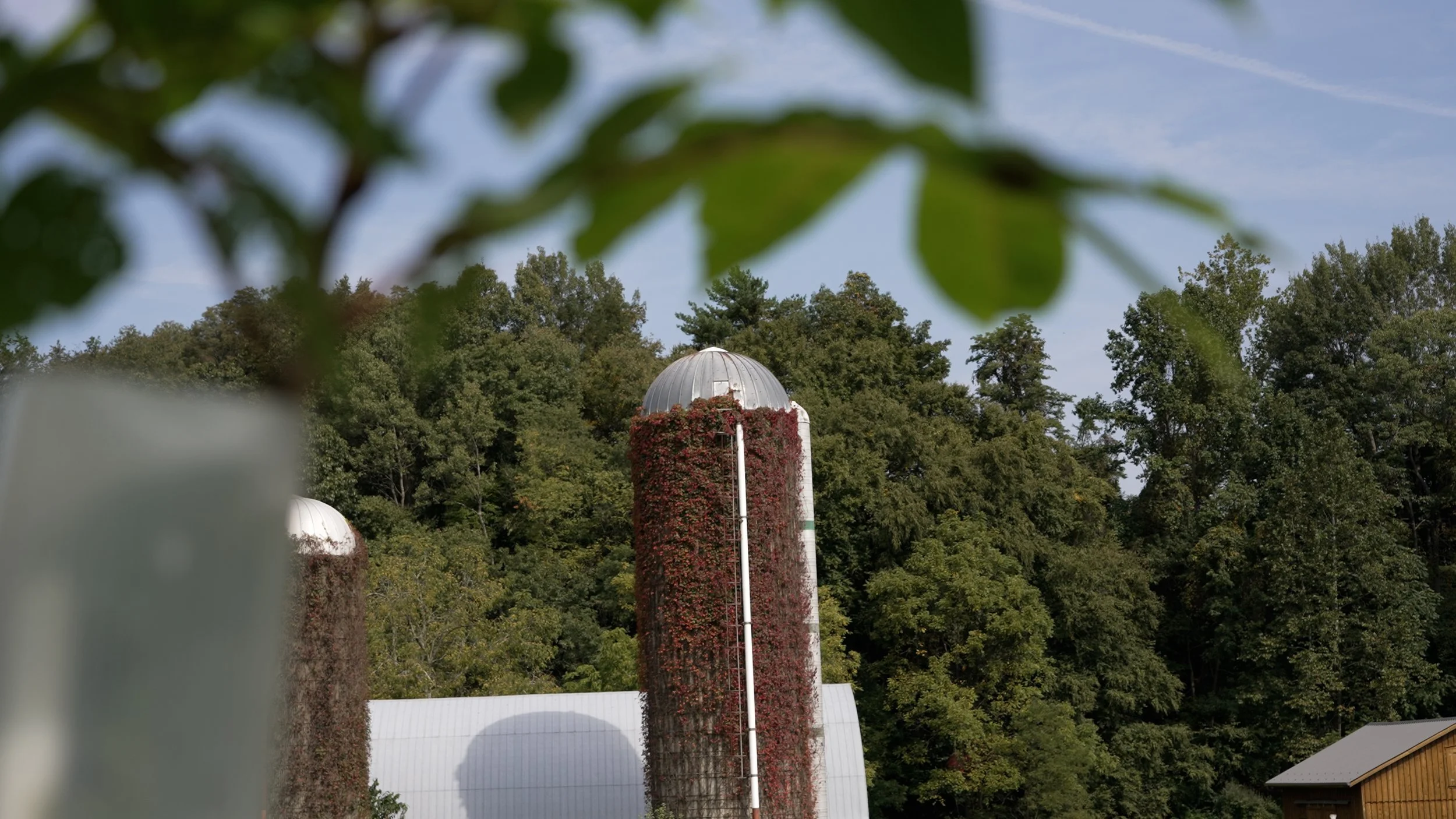 Grant support banner showing field documentation and reporting context