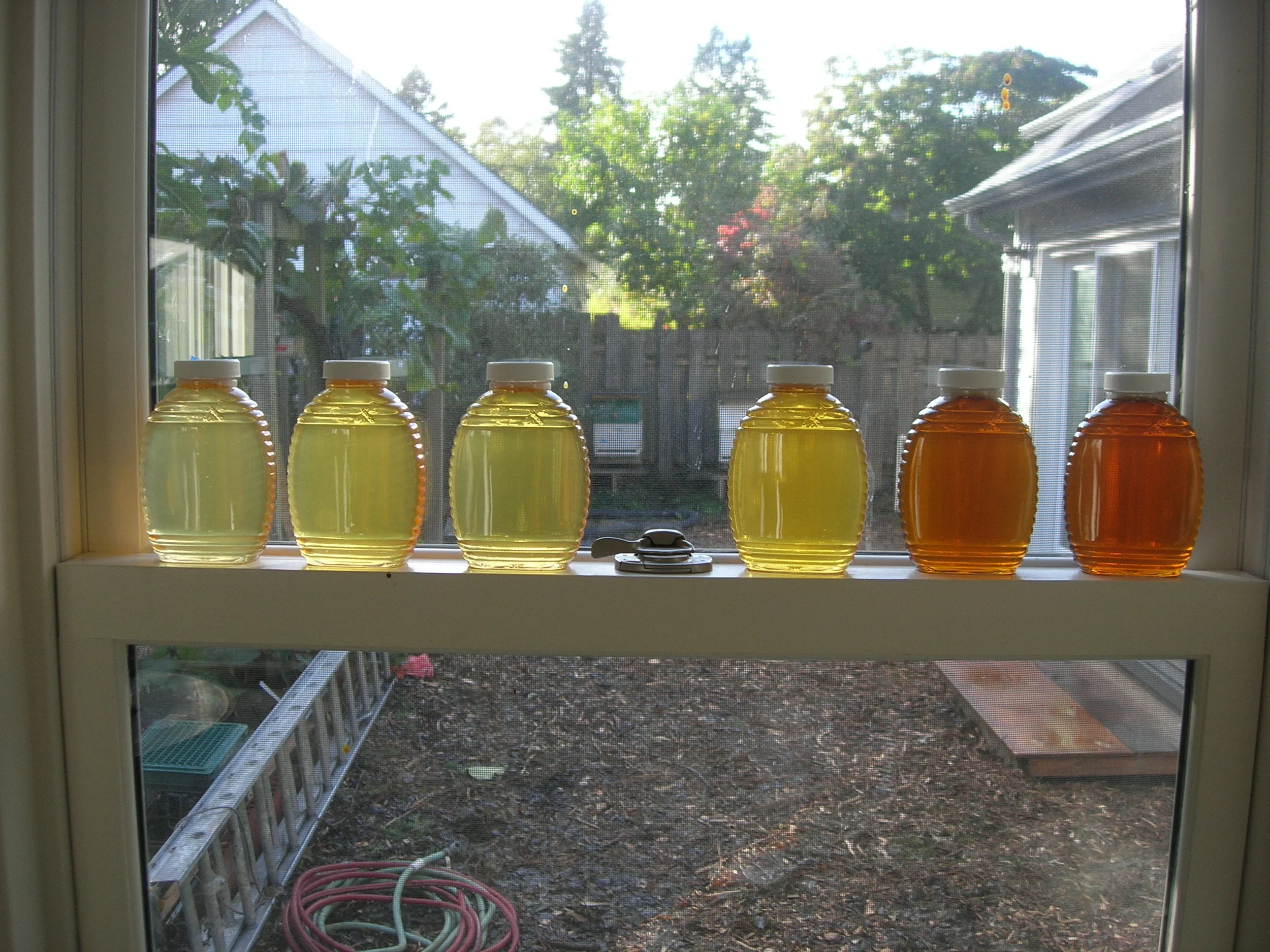 varietal honey.JPG