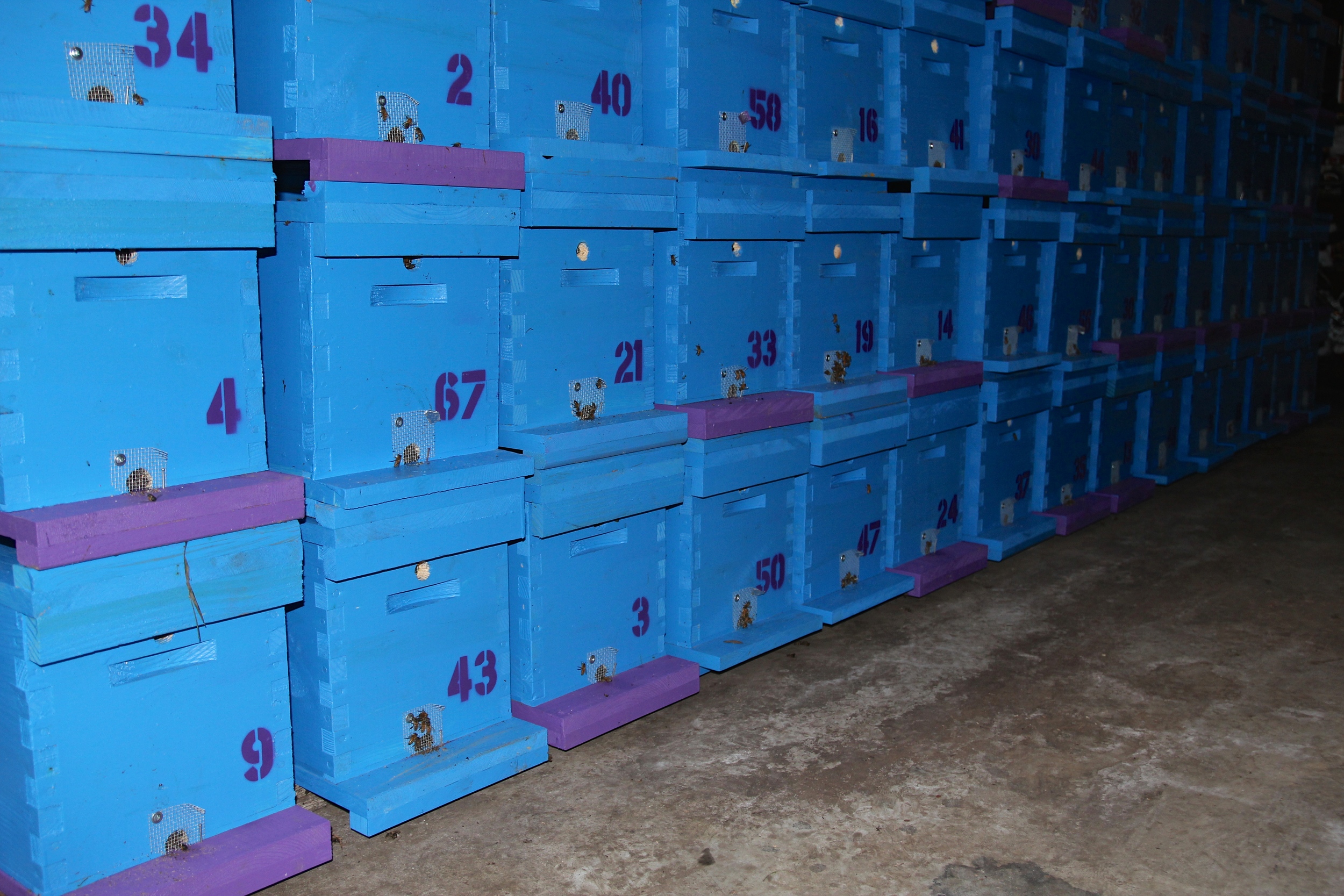 Nucs ready for delivery