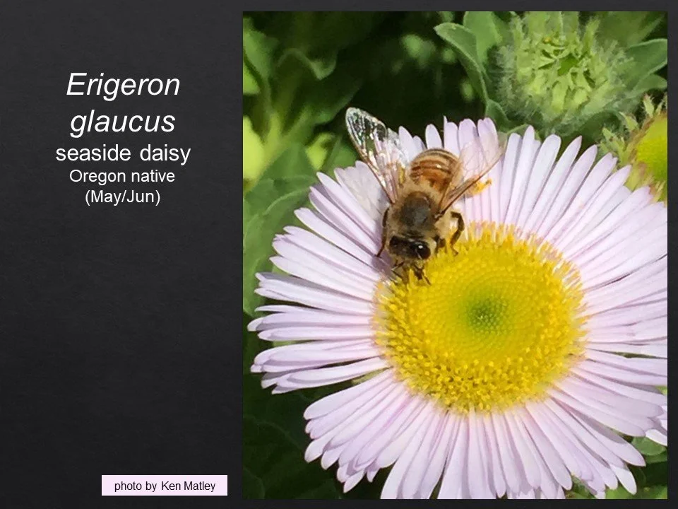 Slide15.JPG
