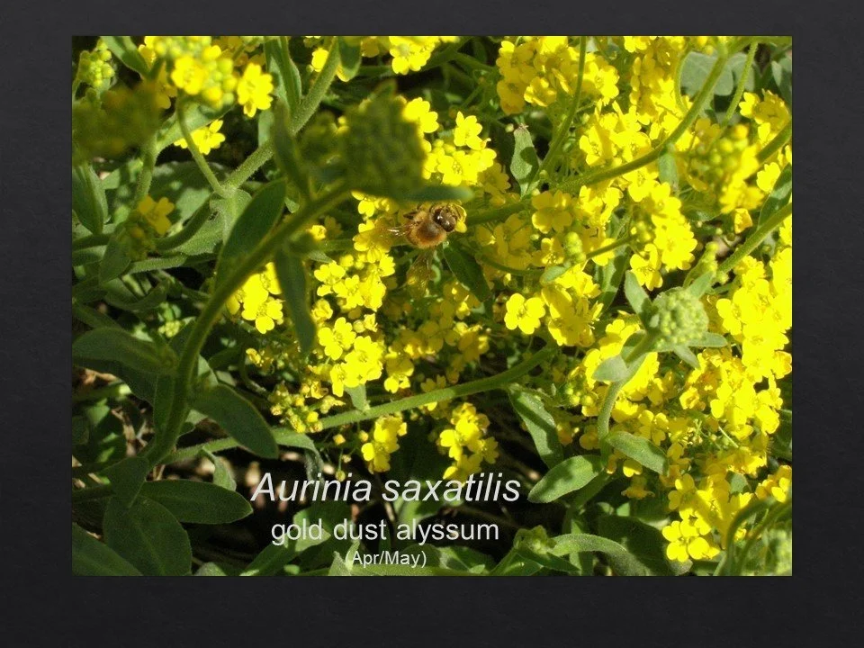 Slide18.JPG
