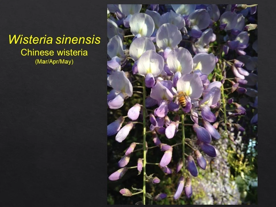 Slide28.JPG