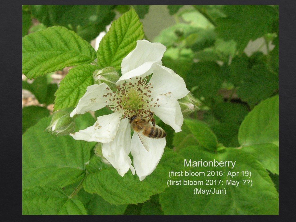 Slide31.JPG