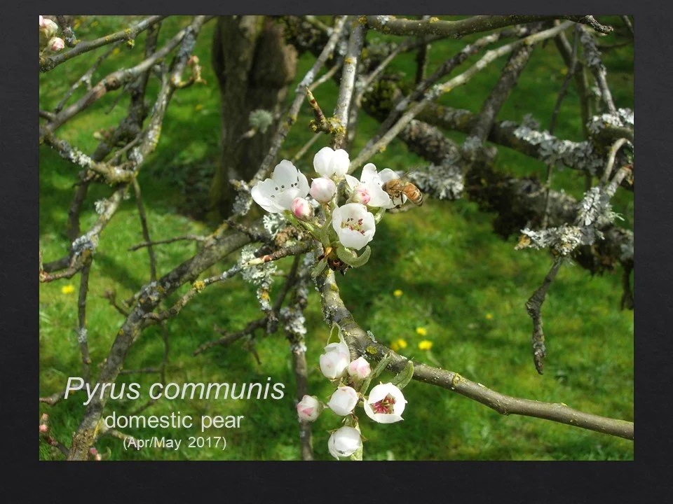 Slide35.JPG
