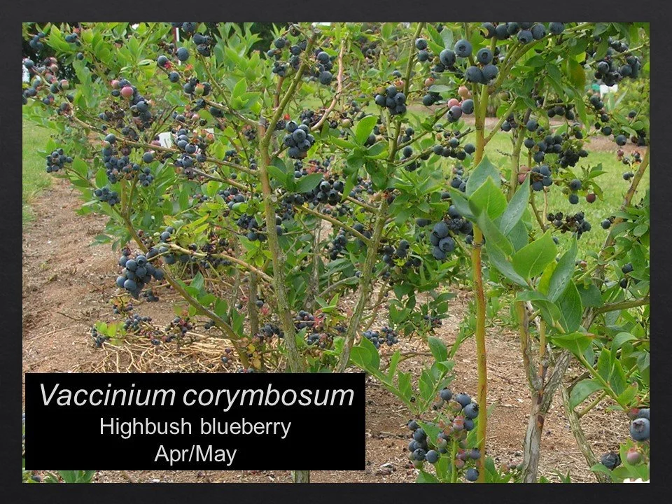 Slide38.JPG