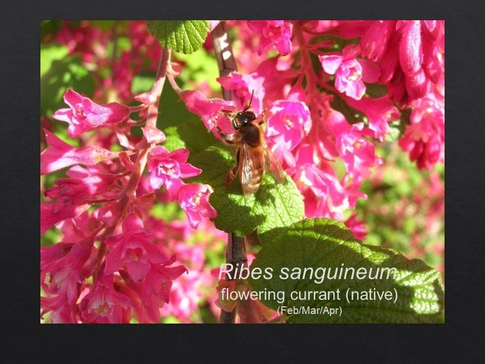 Slide51.JPG