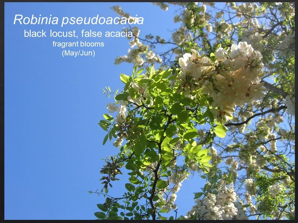 Slide58.JPG