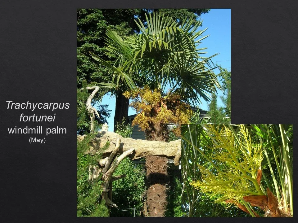 Slide59.JPG