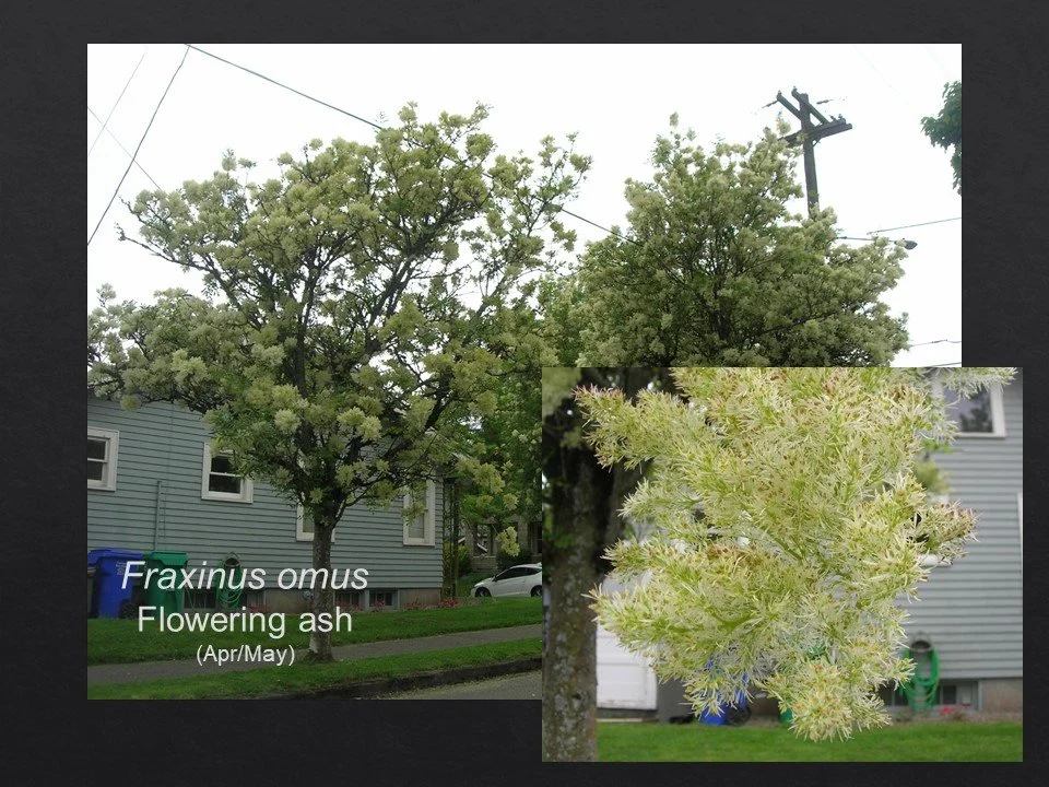 Slide65.JPG