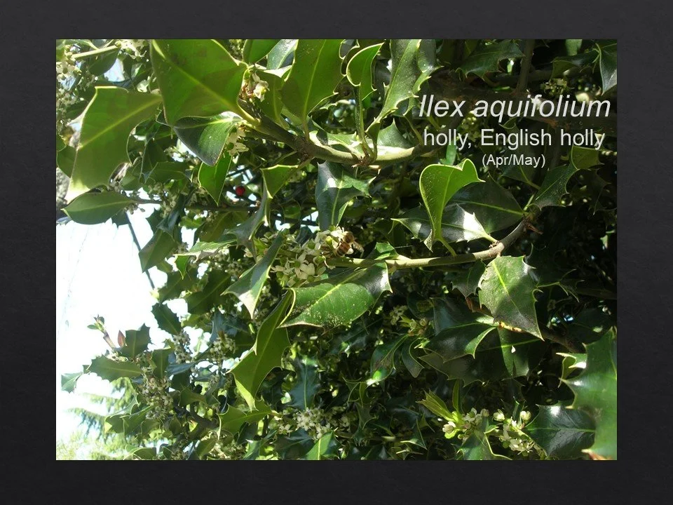Slide66.JPG