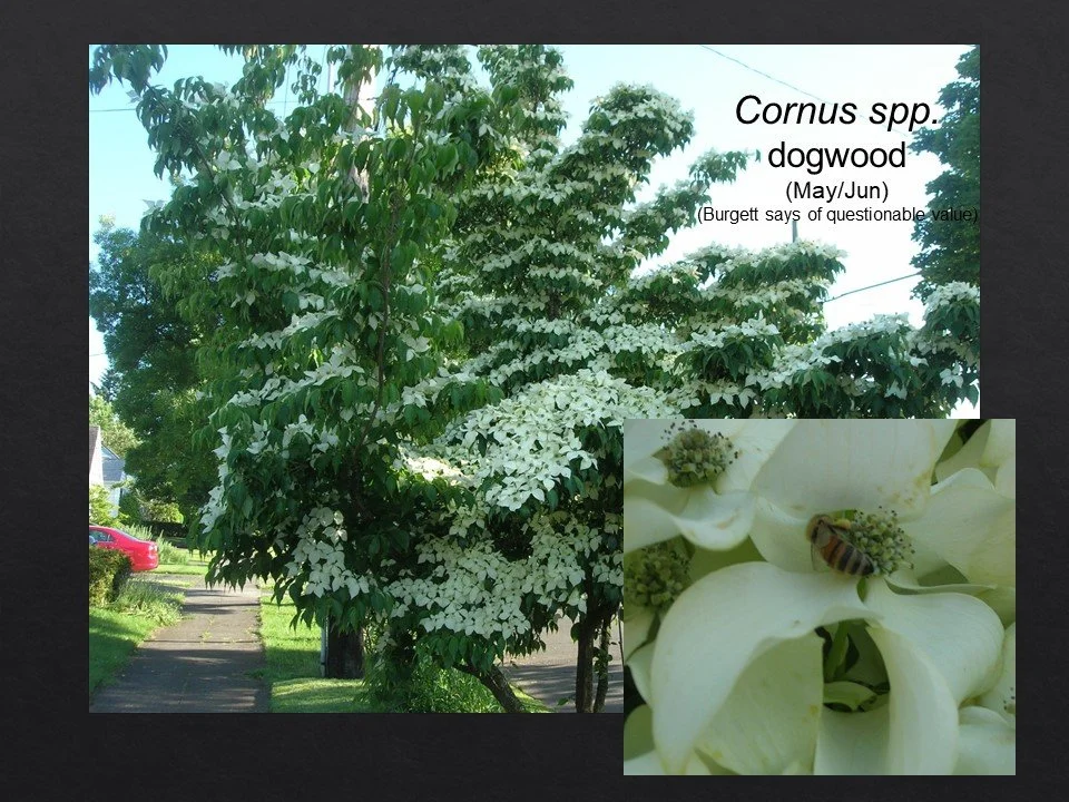 Slide69.JPG