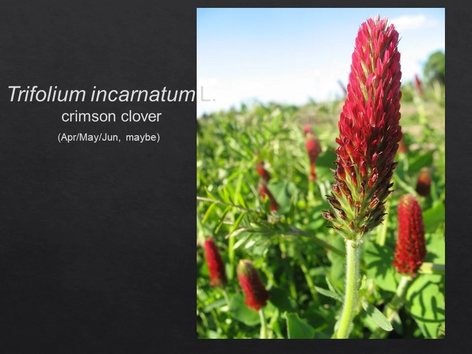 Slide77.JPG