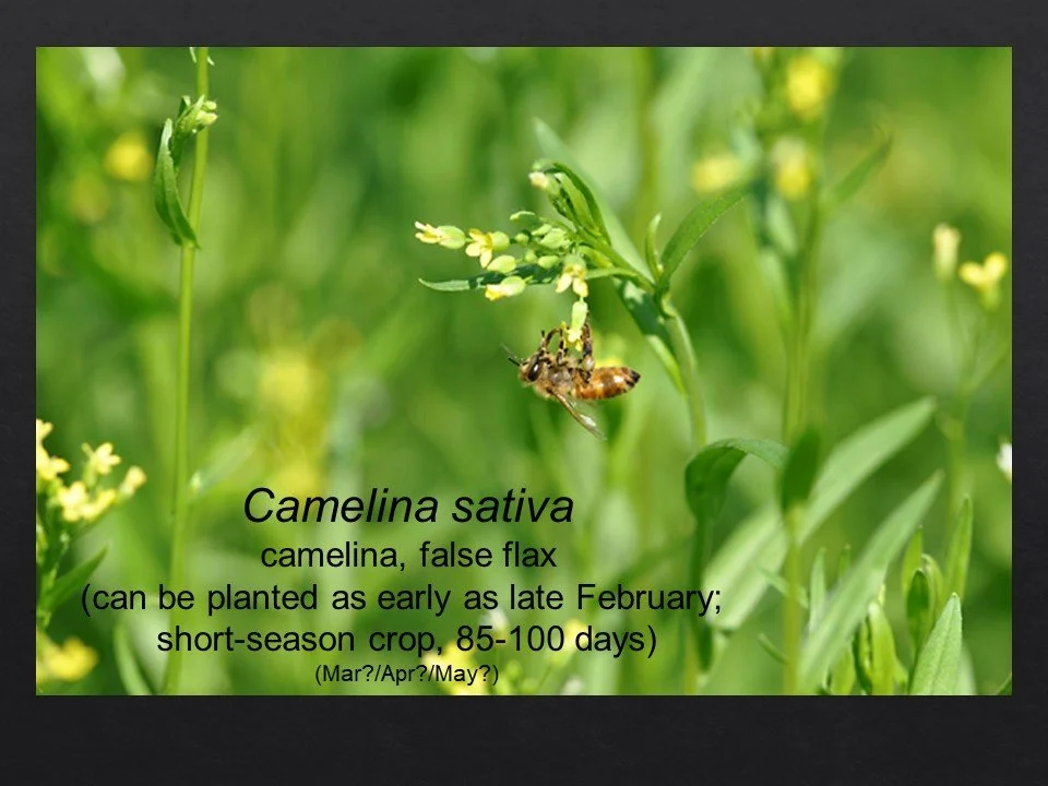 Slide78.JPG