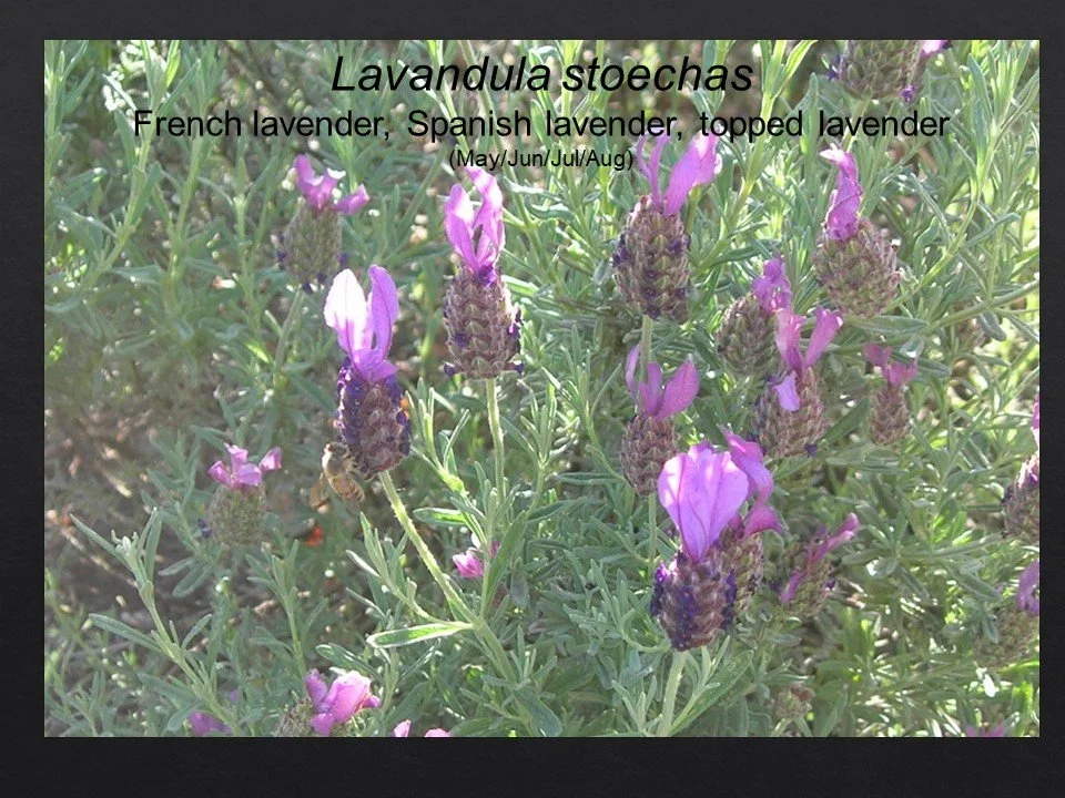 Slide80.JPG