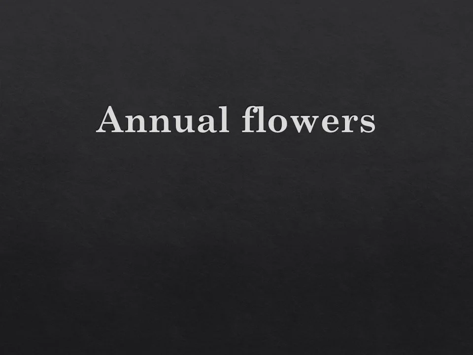 Slide14.JPG
