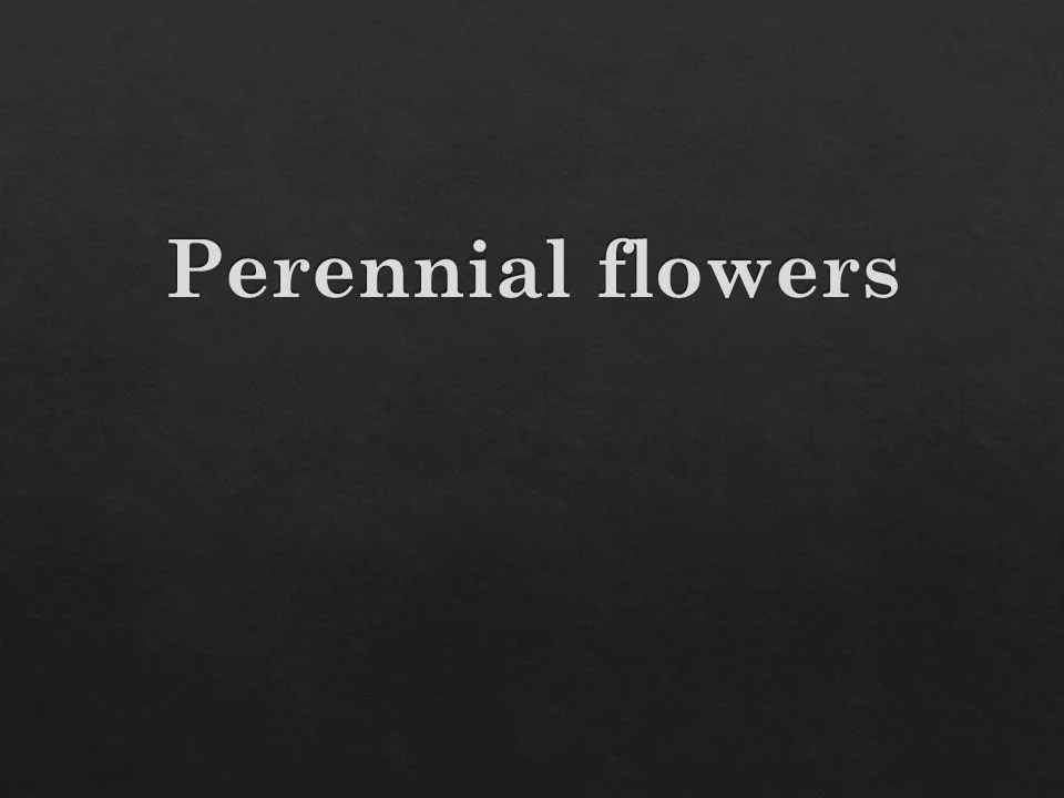 Slide23.JPG