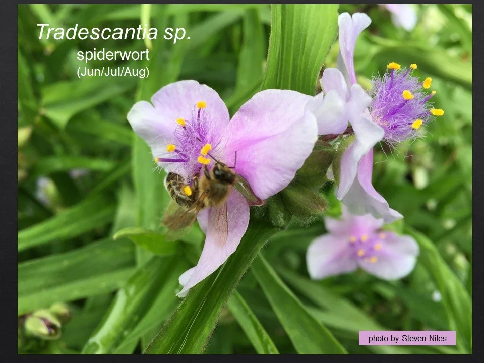 Slide26.JPG