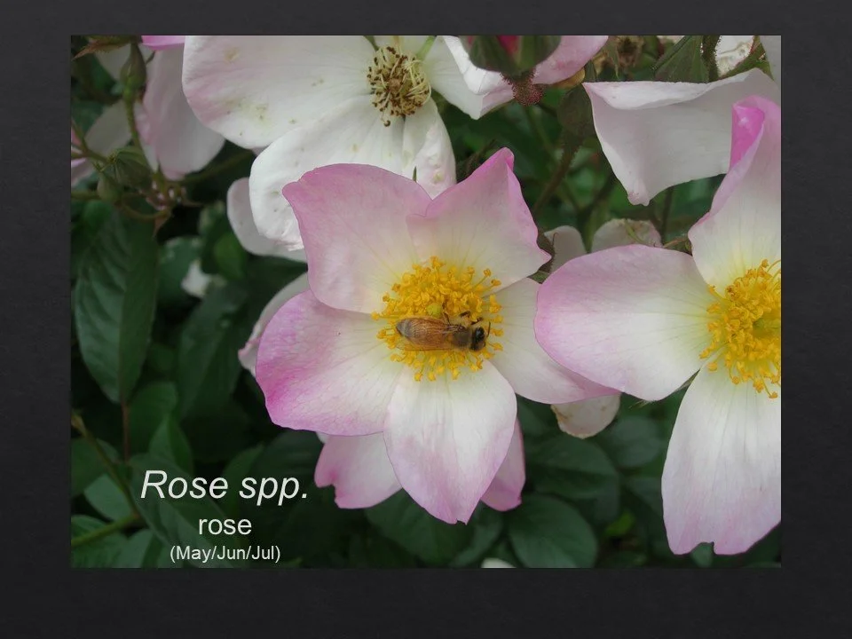 Slide30.JPG