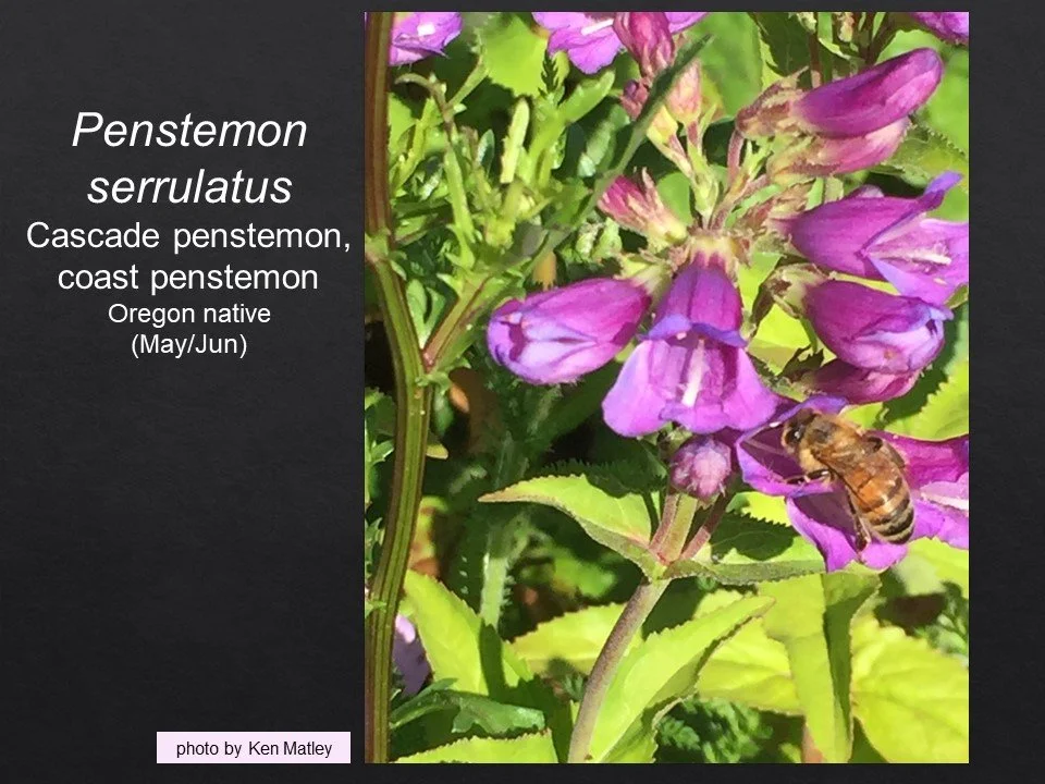 Slide31.JPG