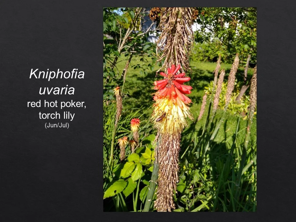 Slide40.JPG