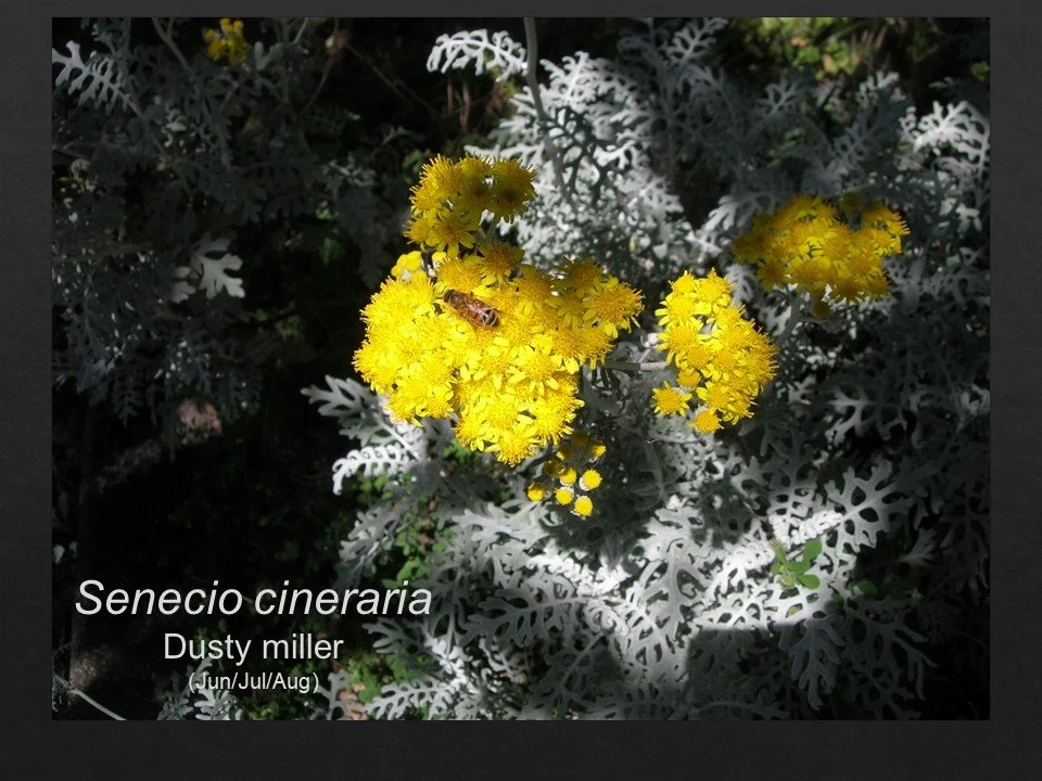 Slide53.JPG
