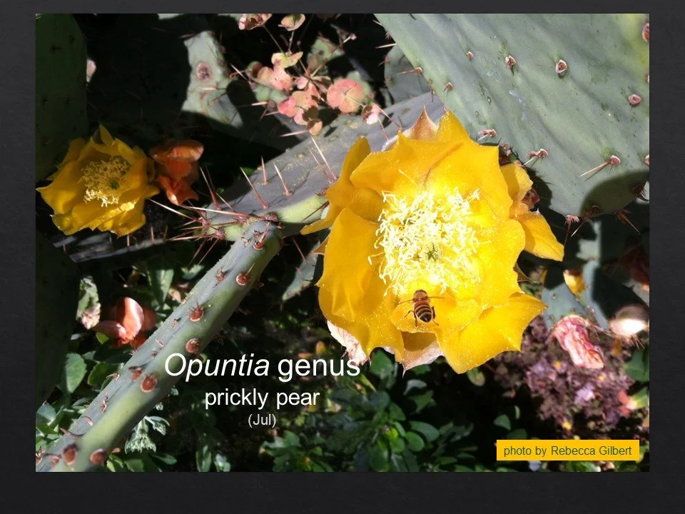 Slide55.JPG