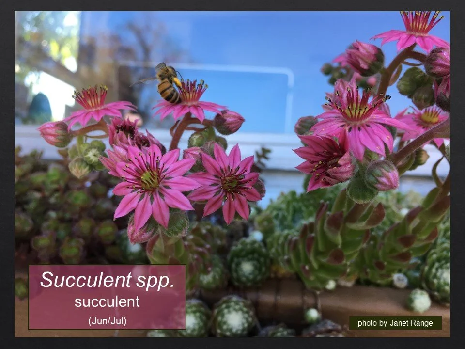 Slide64.JPG