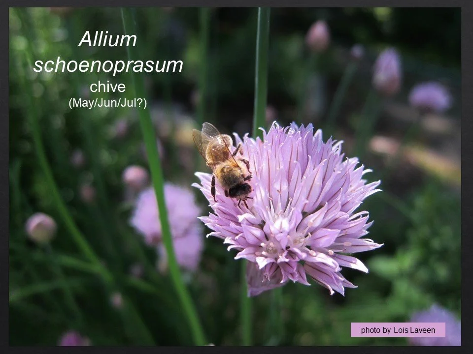 Slide68.JPG