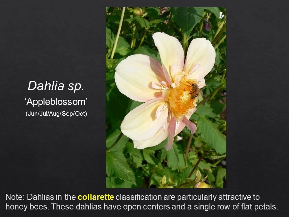 Slide71.JPG