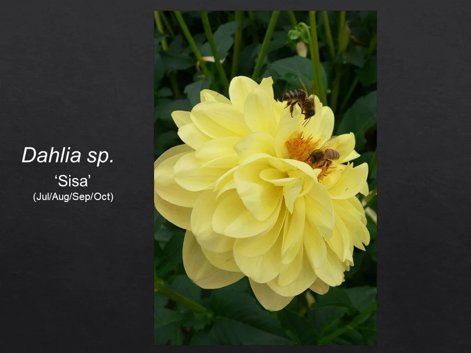 Slide74.JPG