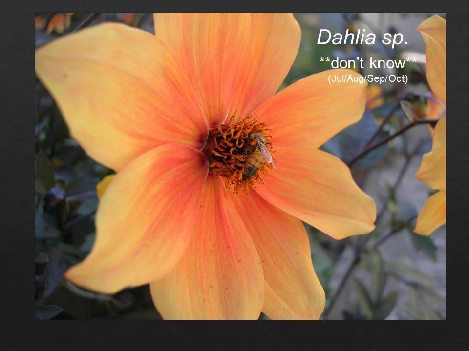 Slide76.JPG