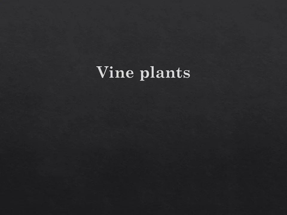 Slide79.JPG