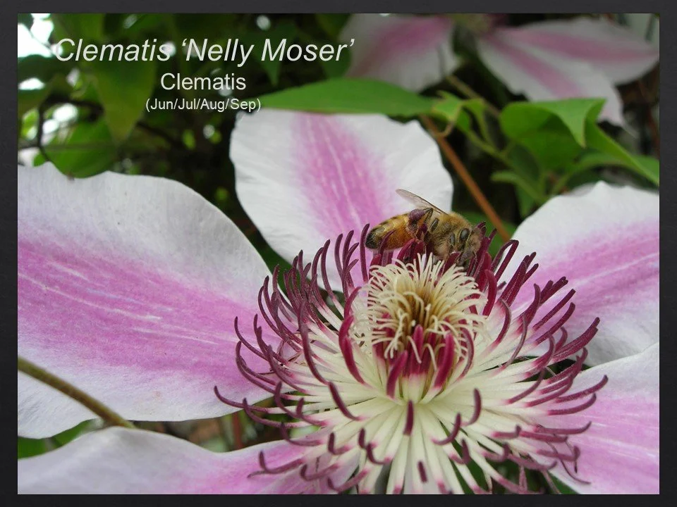Slide83.JPG
