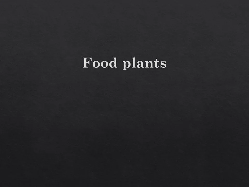 Slide87.JPG