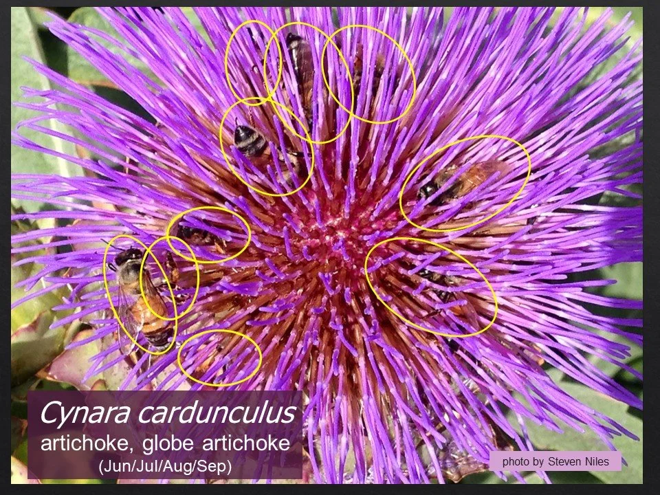 Slide89.JPG