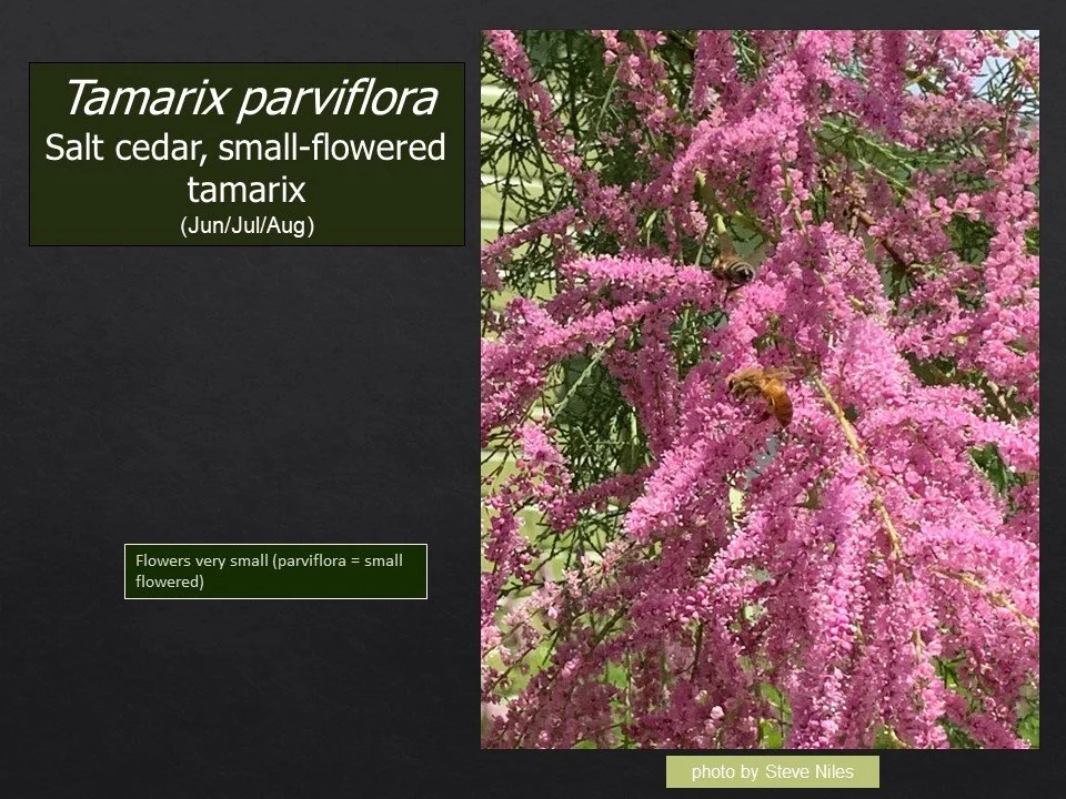 Slide93.JPG