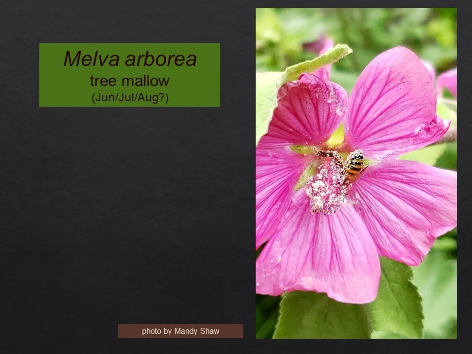 Slide94.JPG