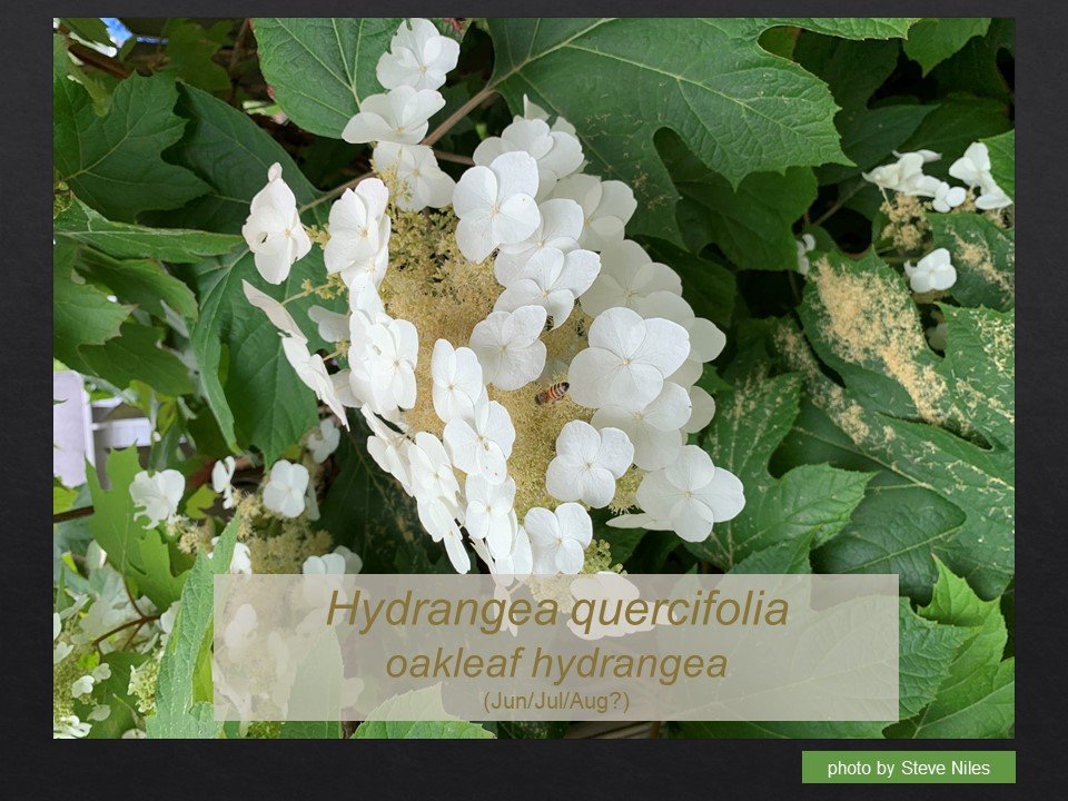 Slide98.JPG